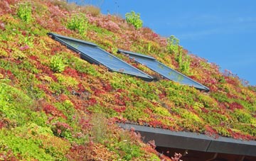 Pembroke Ferry living roof systems