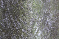 Pembroke Ferry fibreglass roof work